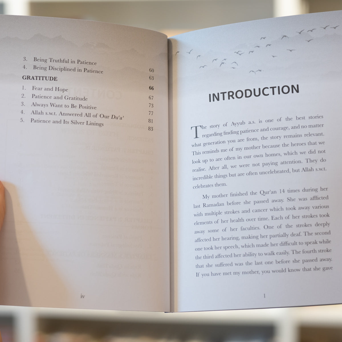 Wings of Faith: Patience and Gratitude PB、mySite、topwebapps