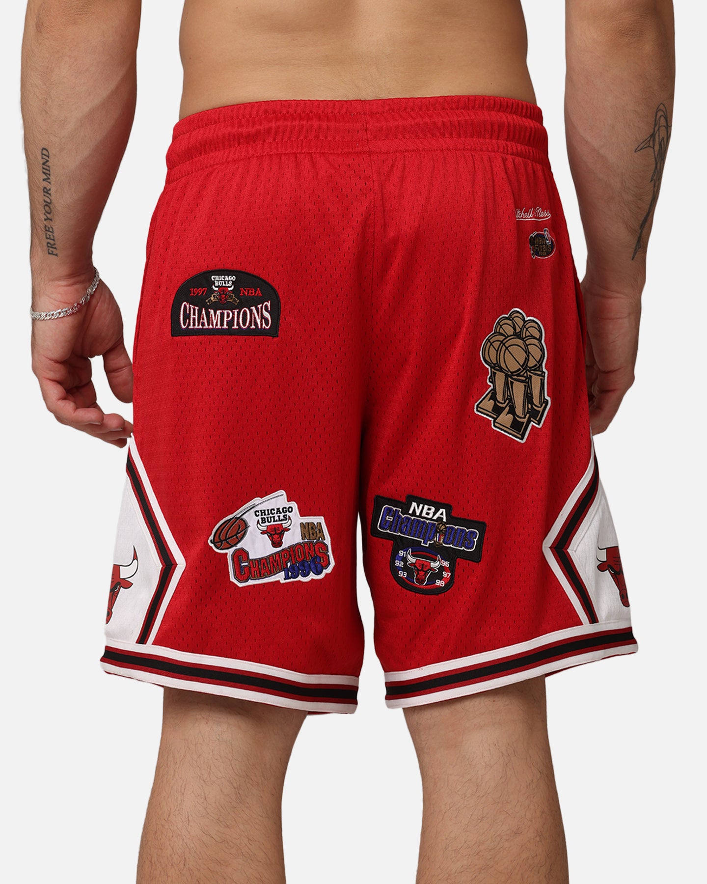 Mitchell & Ness Chicago Bulls 'UNC To Chicago' Champions Shorts Red、mySite、zt4zffjzw