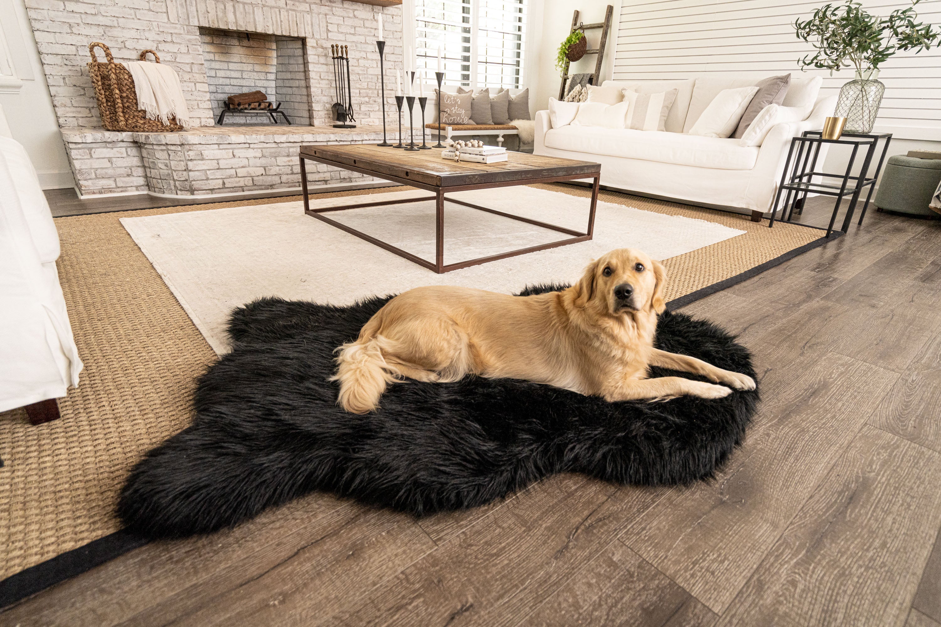 PupRug by Paw.com™ Faux Fur Orthopedic Dog Bed - Curve Midnight Black、mySite、solidvoid
