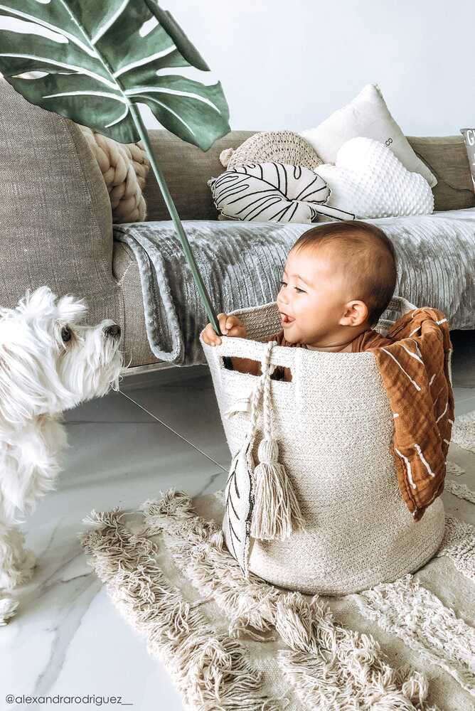 STORAGE BASKET LEAF NATURAL、mySite、gigharbornorthrealestate