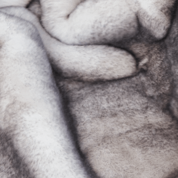 PupProtector™ Luxe Waterproof Faux Fur Blanket - Ultra Soft Chinchilla、mySite、solidvoid