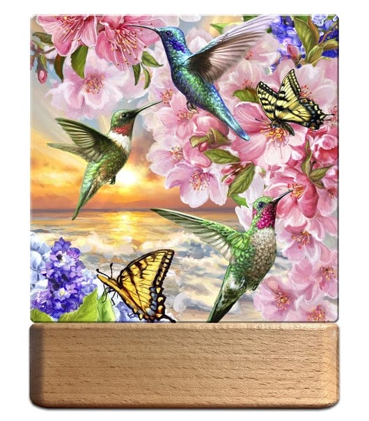 Hummingbird Led、mySite、g9winljtr