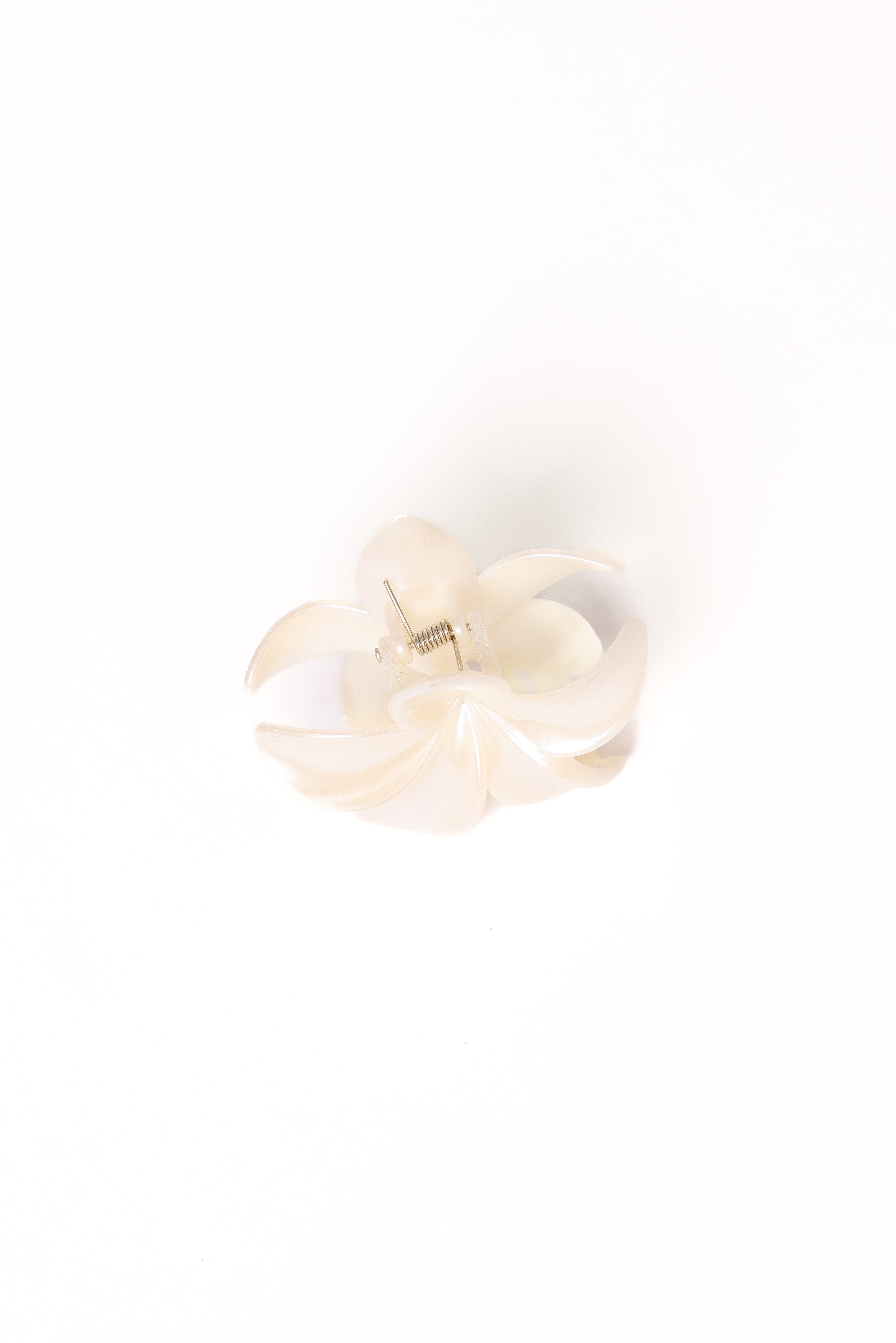  Tiarne Hair Clip - White、mySite、sugarbowlscore