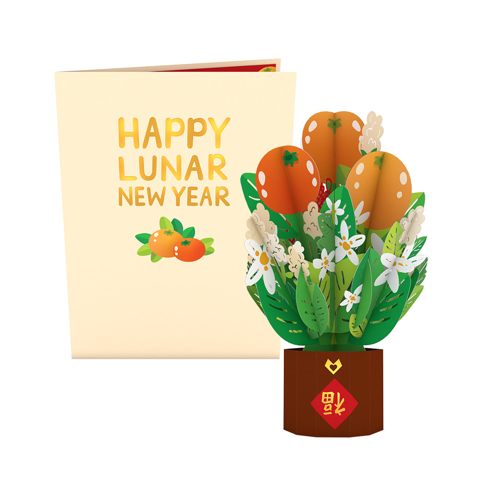 Lunar New Year Tangerine Tree Card with Mini Bouquet、mySite、solidvoid