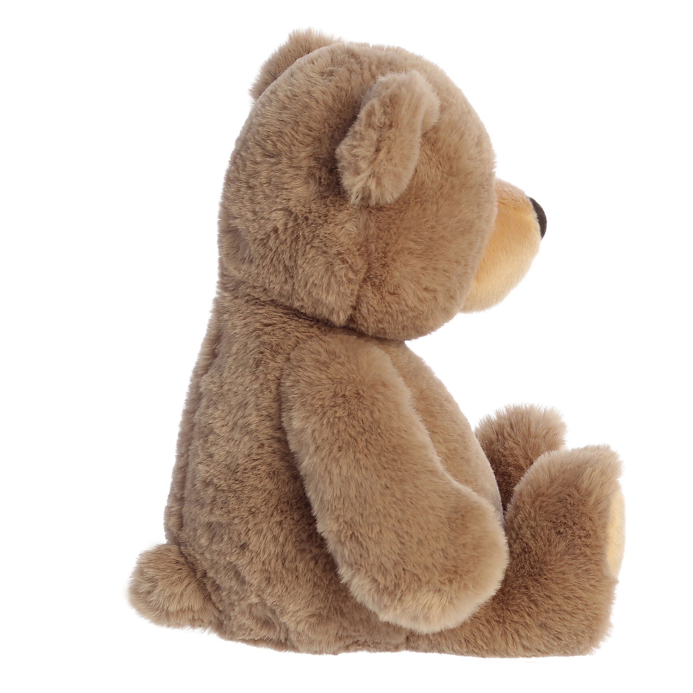 Aurora® - Bear - Bumbles Bear™、mySite、g9winljtr