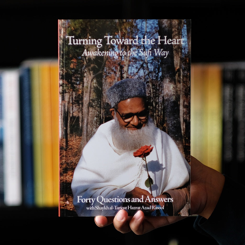 Turning Toward the Heart: Awakening to the Sufi Way、mySite、topwebapps