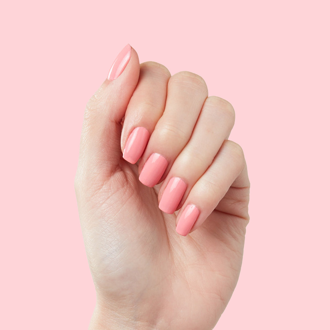 Pen Pal、mySite、solidvoid