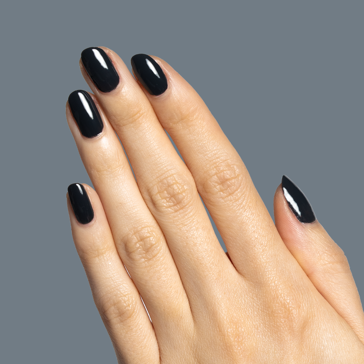 Last Minute Shopping、mySite、solidvoid