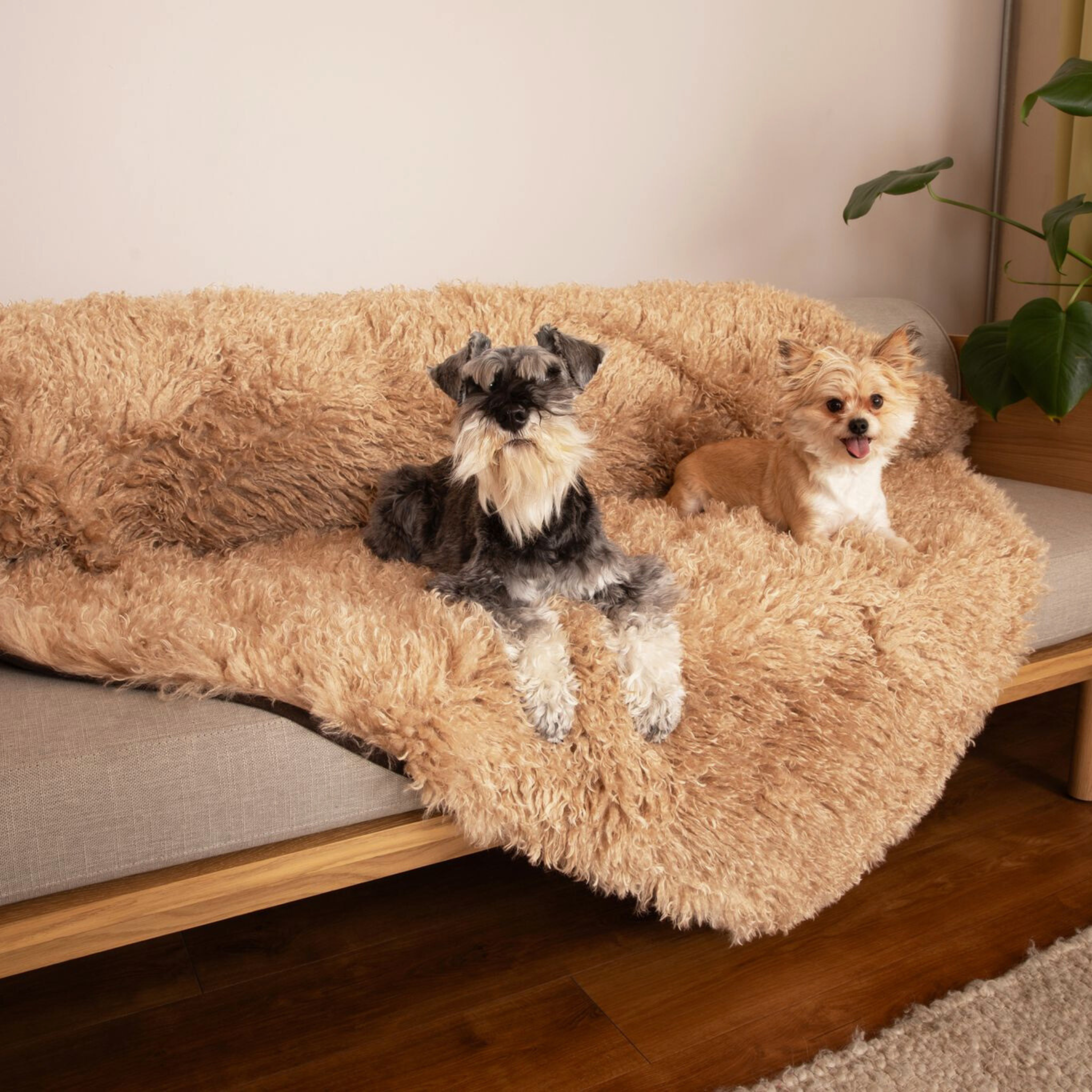 PupProtector™ Luxe Waterproof Faux Fur Blanket - Plush Sheep Tan、mySite、solidvoid
