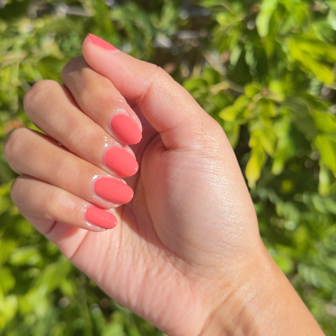 Perfect Pinwheel、mySite、solidvoid