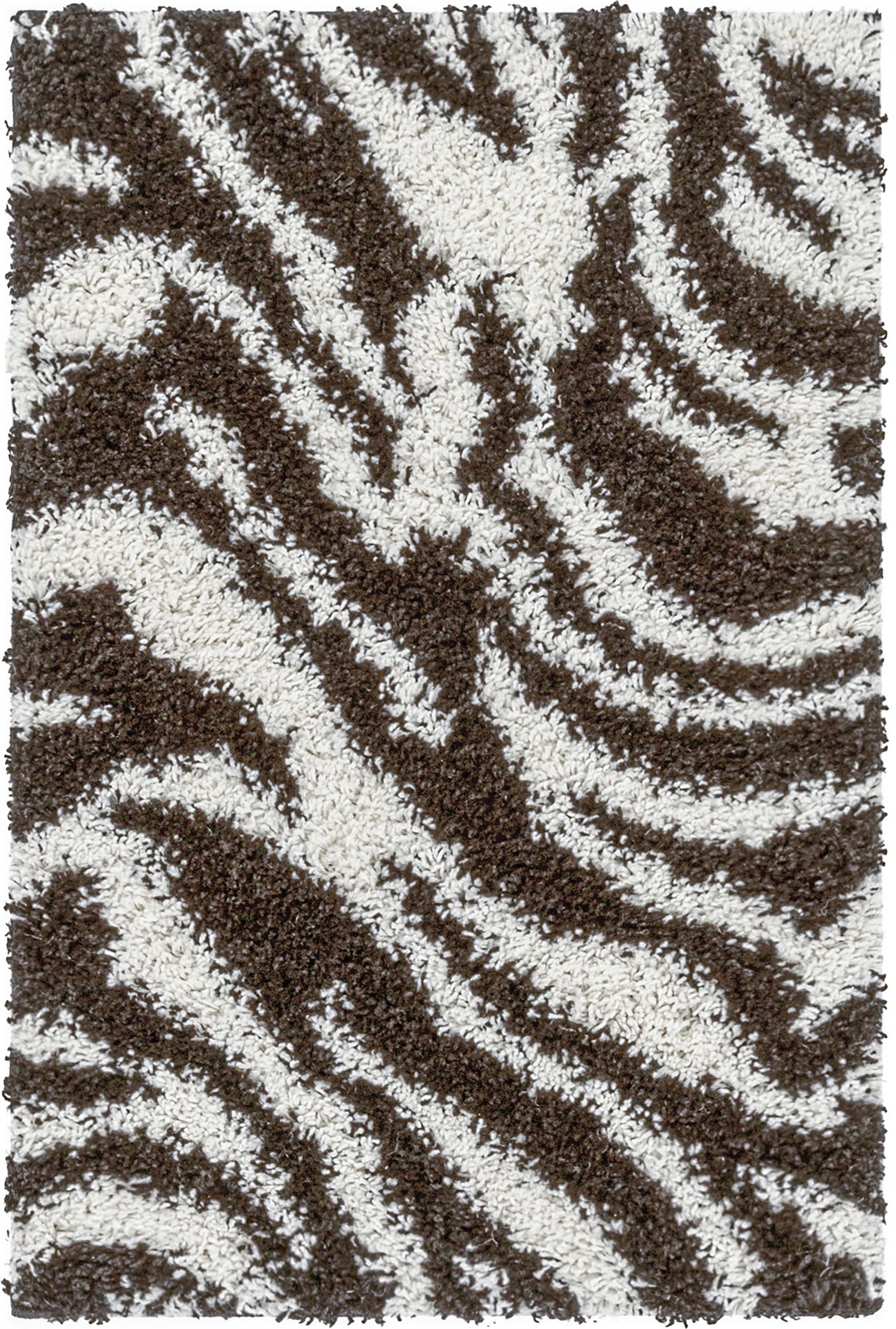 Safari Zebra Brown Contemporary Shag Rug、mySite、gigharbornorthrealestate