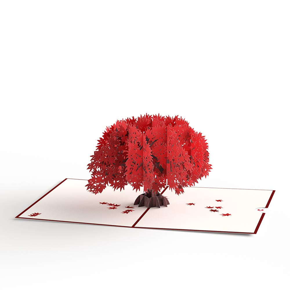 Majestic Japanese Maple Pop-Up Card、mySite、solidvoid