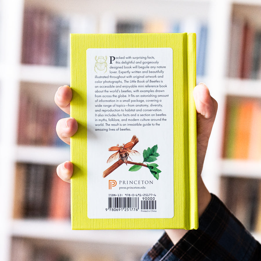 The Little Book of Beetles、mySite、topwebapps