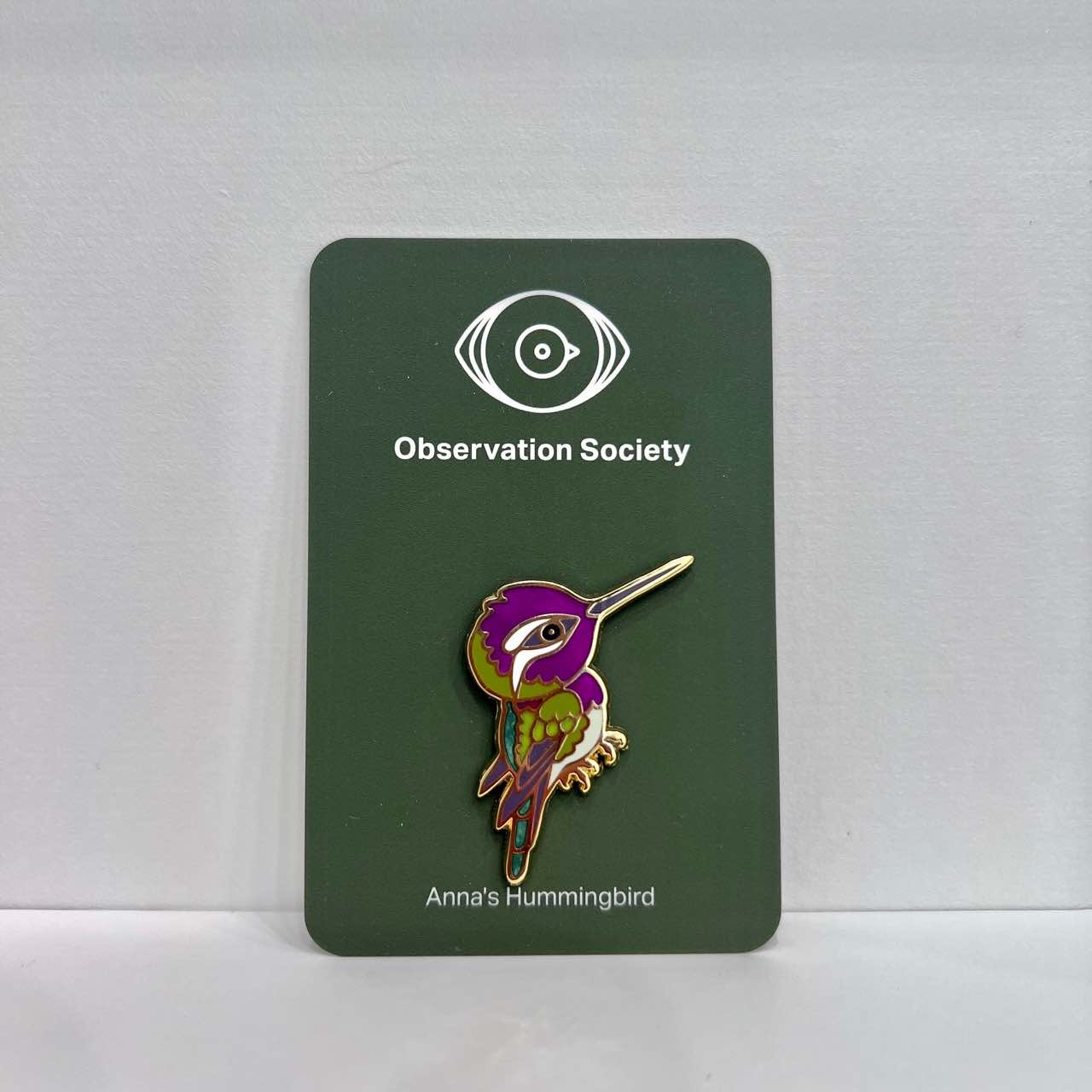 Observation - Anna's Hummingbird - Pin、mySite、garagedoors4me