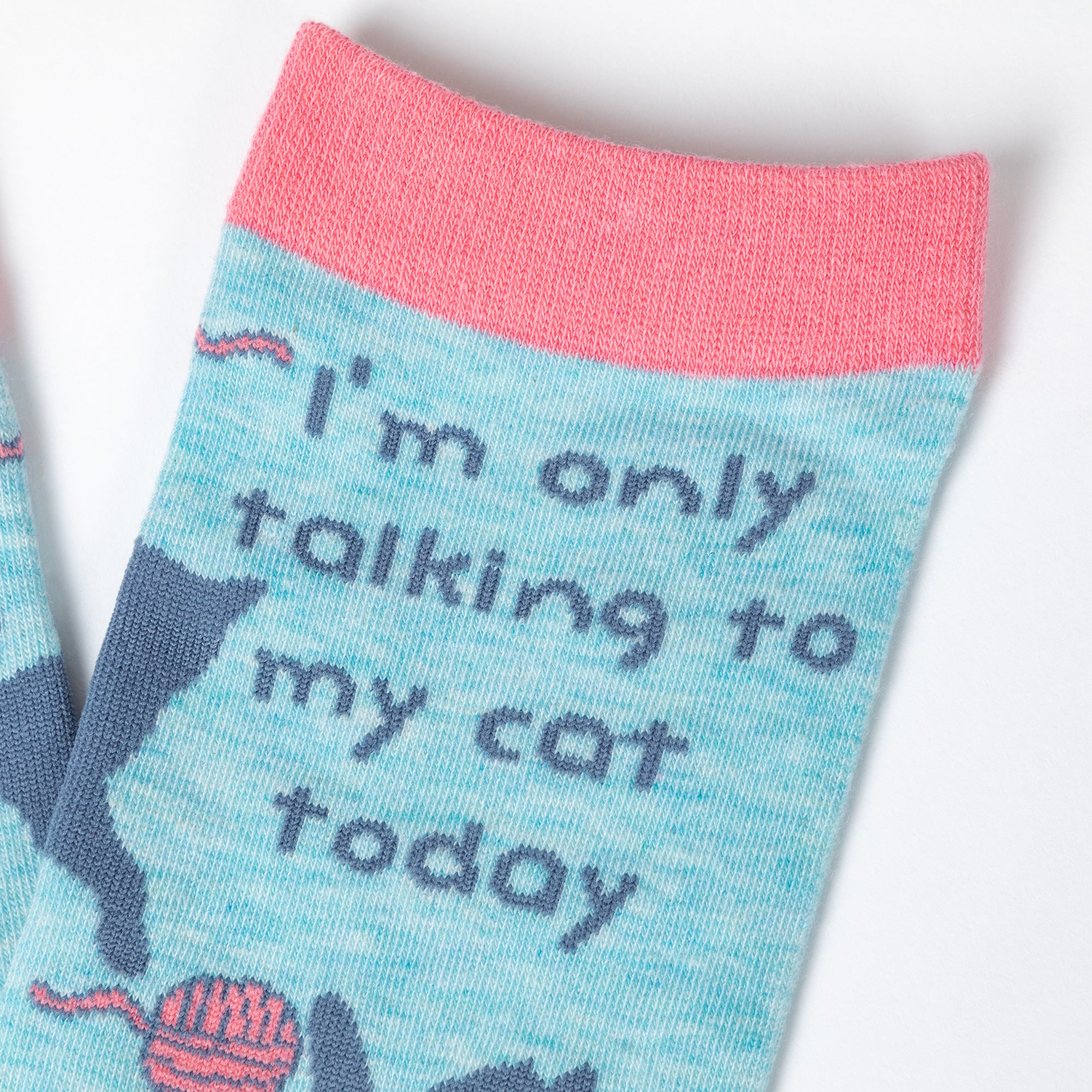 Cheeky Pet Saying Socks、mySite、camillekostekn