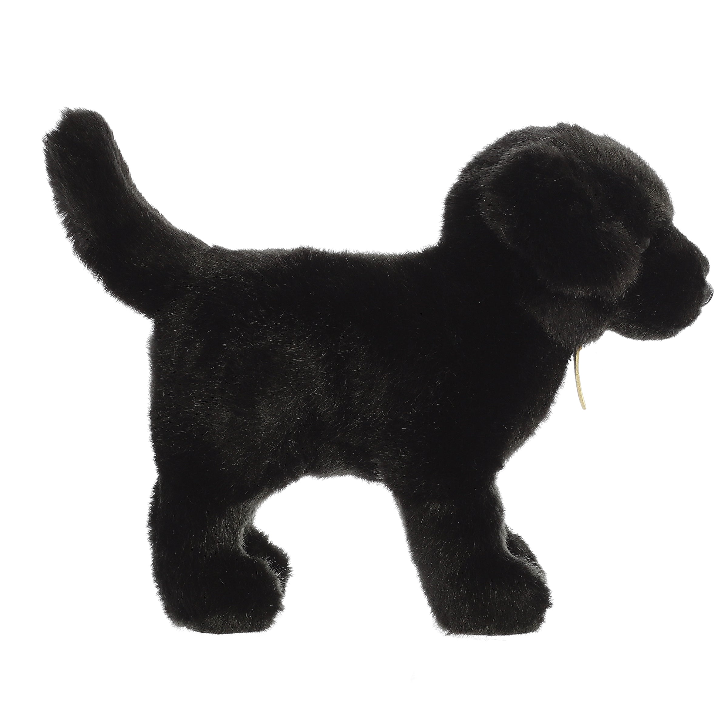 Aurora® - Miyoni® - 10 Black Labrador、mySite、g9winljtr