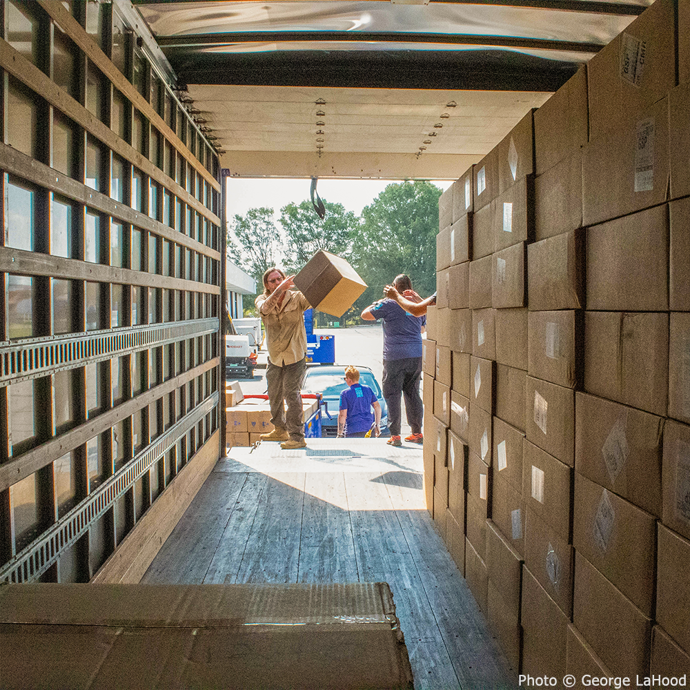 Widespread Devastation: Support Communities Ravaged By Helene & Milton、mySite、camillekostekn