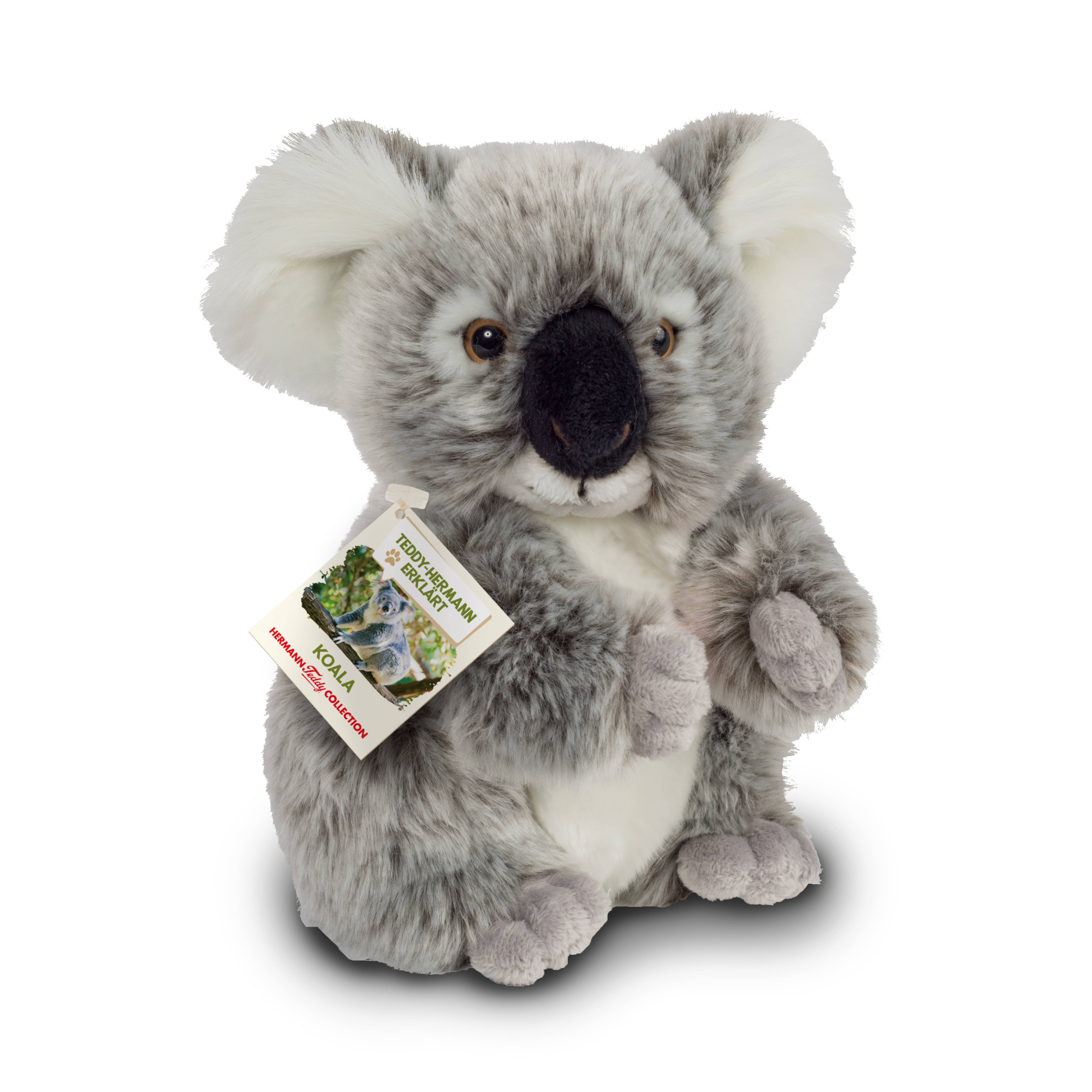 Cutest Plush Koala 21 cm by Teddy Hermann、mySite、g9winljtr