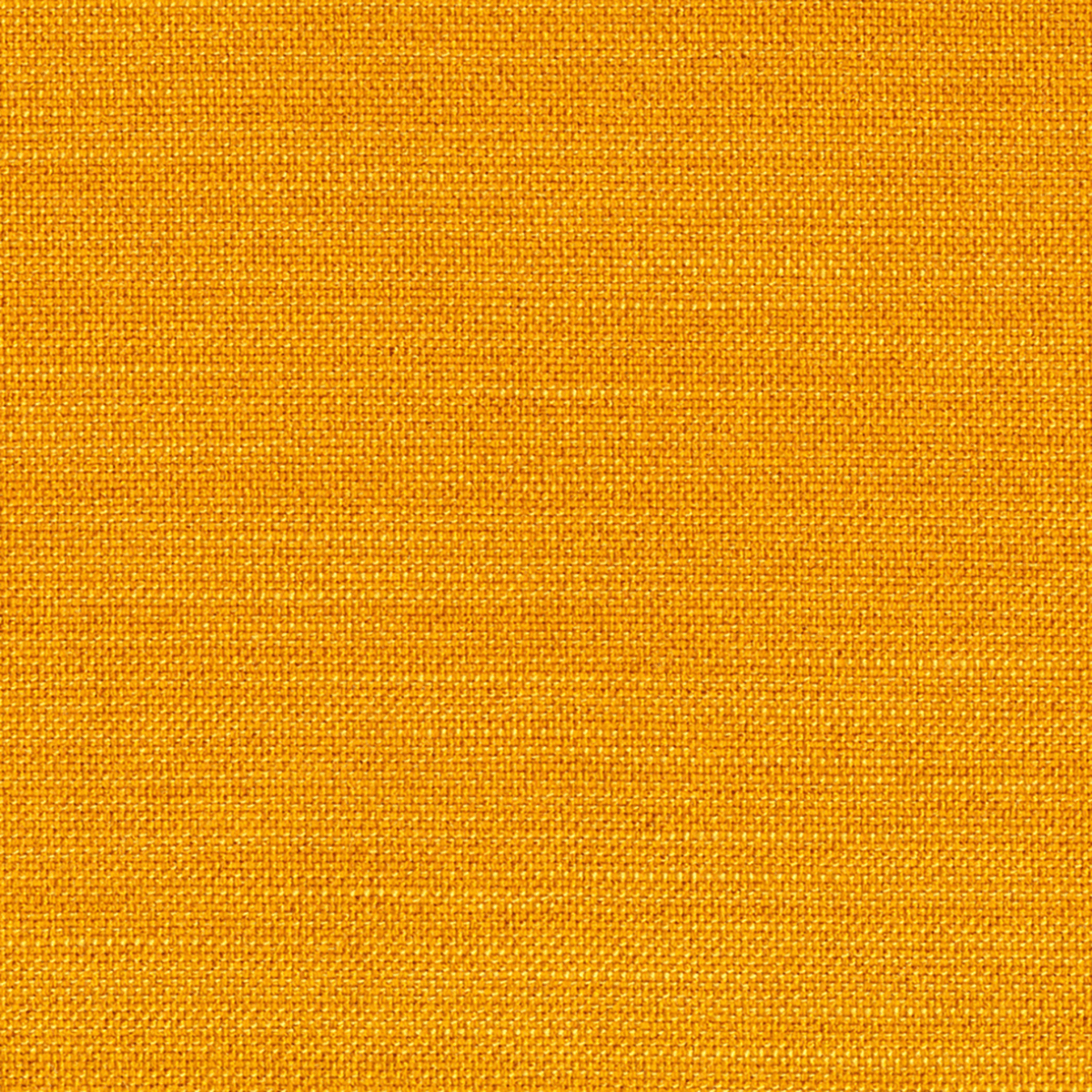 507 Elegance Burned Curry、mySite、neckold