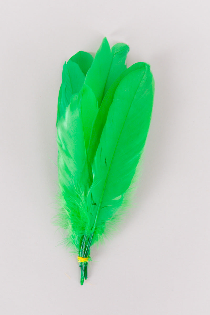 Goose Feathers Bundle of 6 - Yellow Rubber Band - FINAL SALE、mySite、hinf8tx79