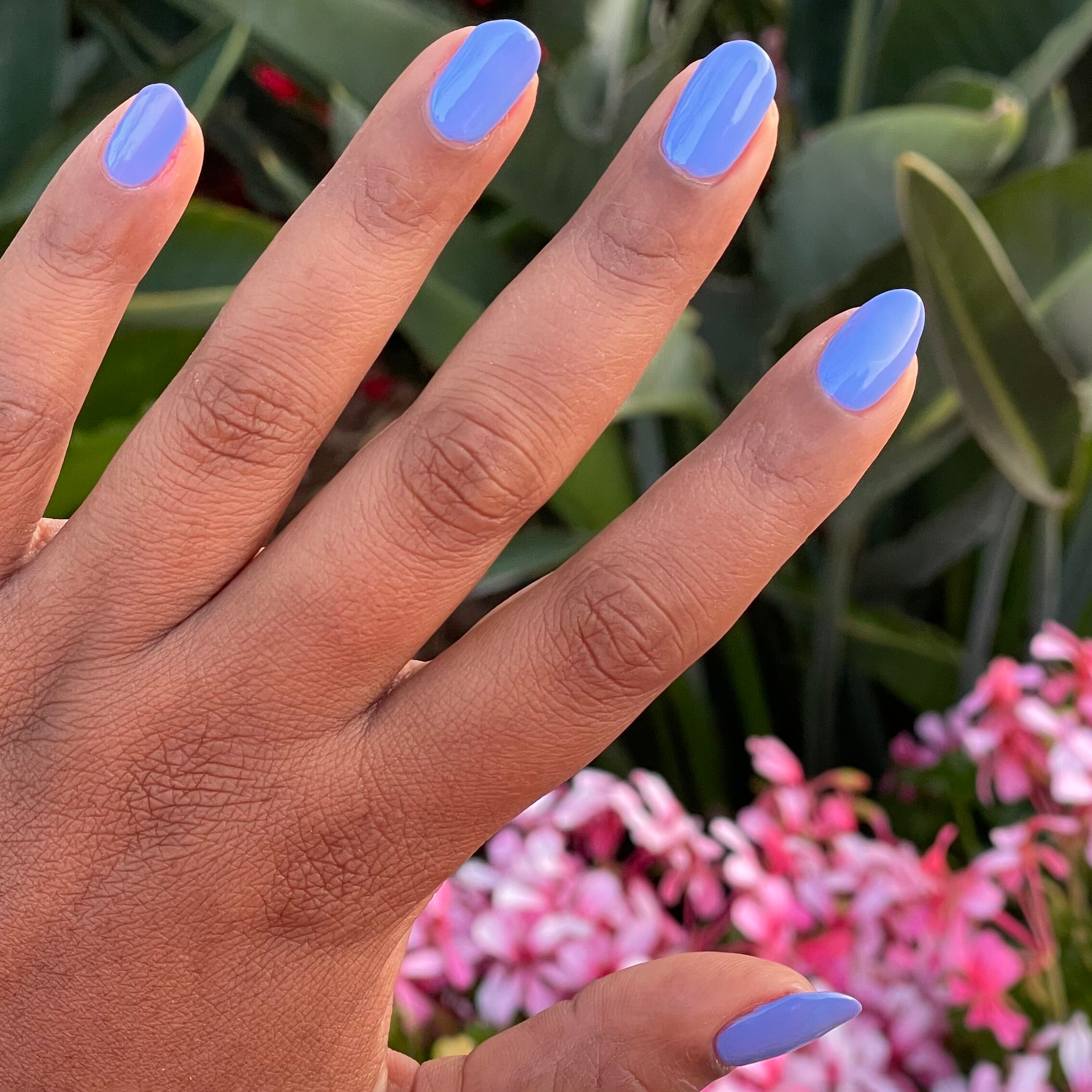 Rally Ready、mySite、solidvoid