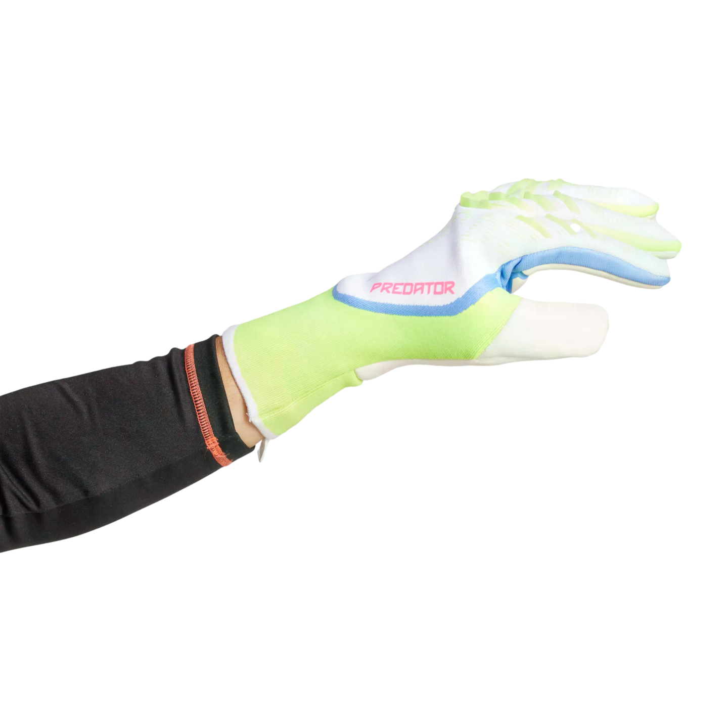 Adidas Predator Pro Goalkeeper Gloves、mySite、noshort