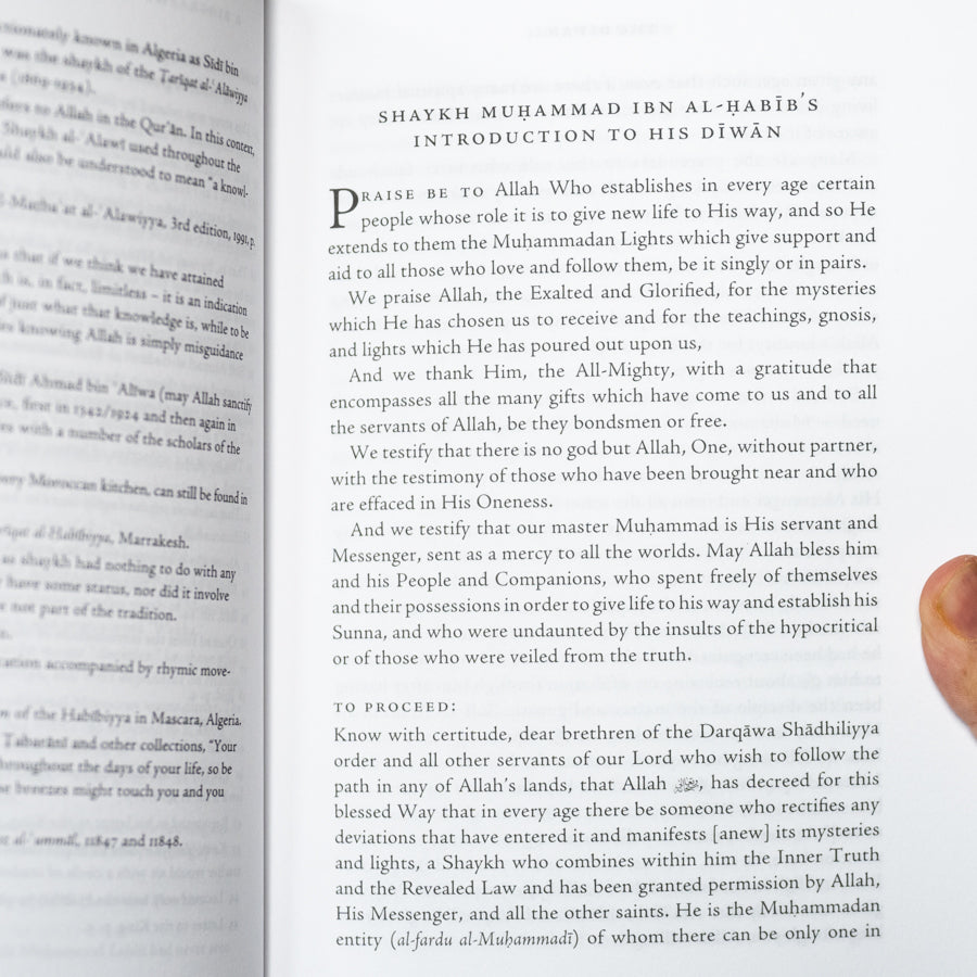 The Diwan of Sidi Muhammad ibn al-Habib (Revised)、mySite、topwebapps