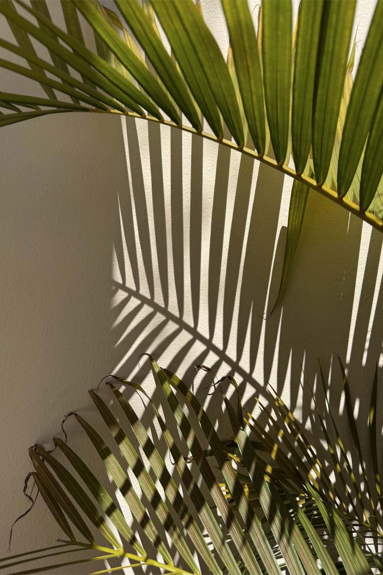 Green Shell Crochet Tilly Dress、mySite、solidvoid