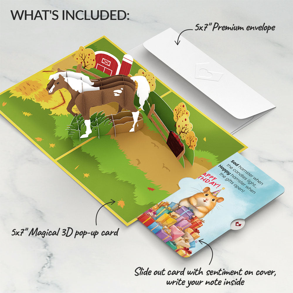 Horse Birthday Pop-Up Card and Happy Hamster Sentiment Set、mySite、solidvoid