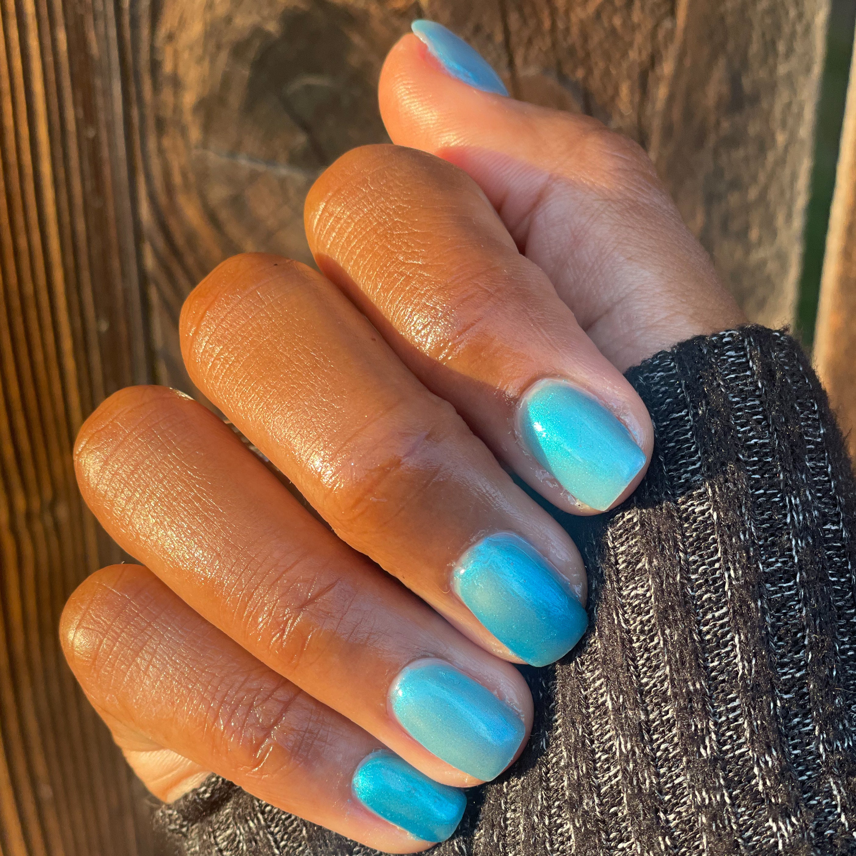 Internal - My Little Seapony、mySite、solidvoid