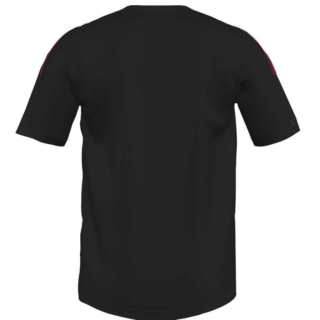 Tiro 24 Custom Jersey Red Star Youth - Black、mySite、noshort