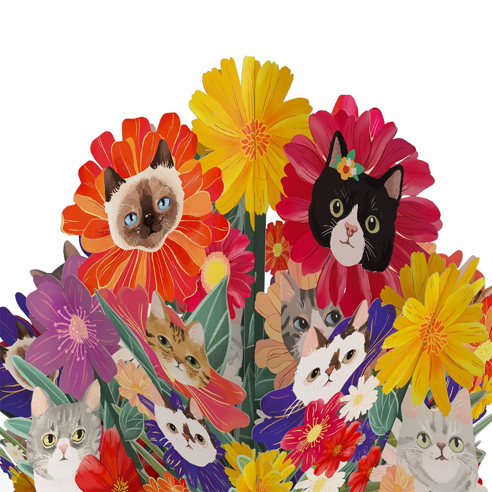 Purr-fect Cat Birthday Bouquet and Sentiment Set for Dad、mySite、solidvoid