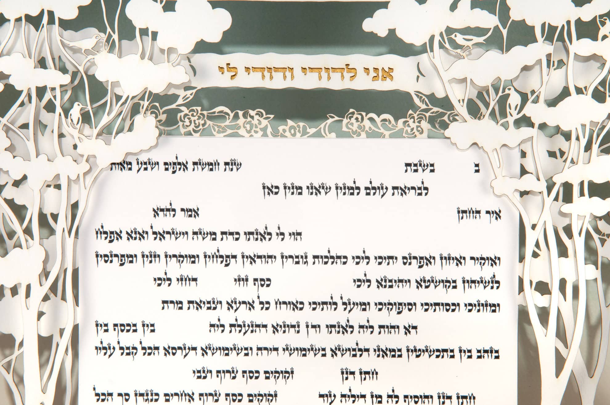  Canopy Ketubah by Daniel Azoulay、mySite、elrpsem3k