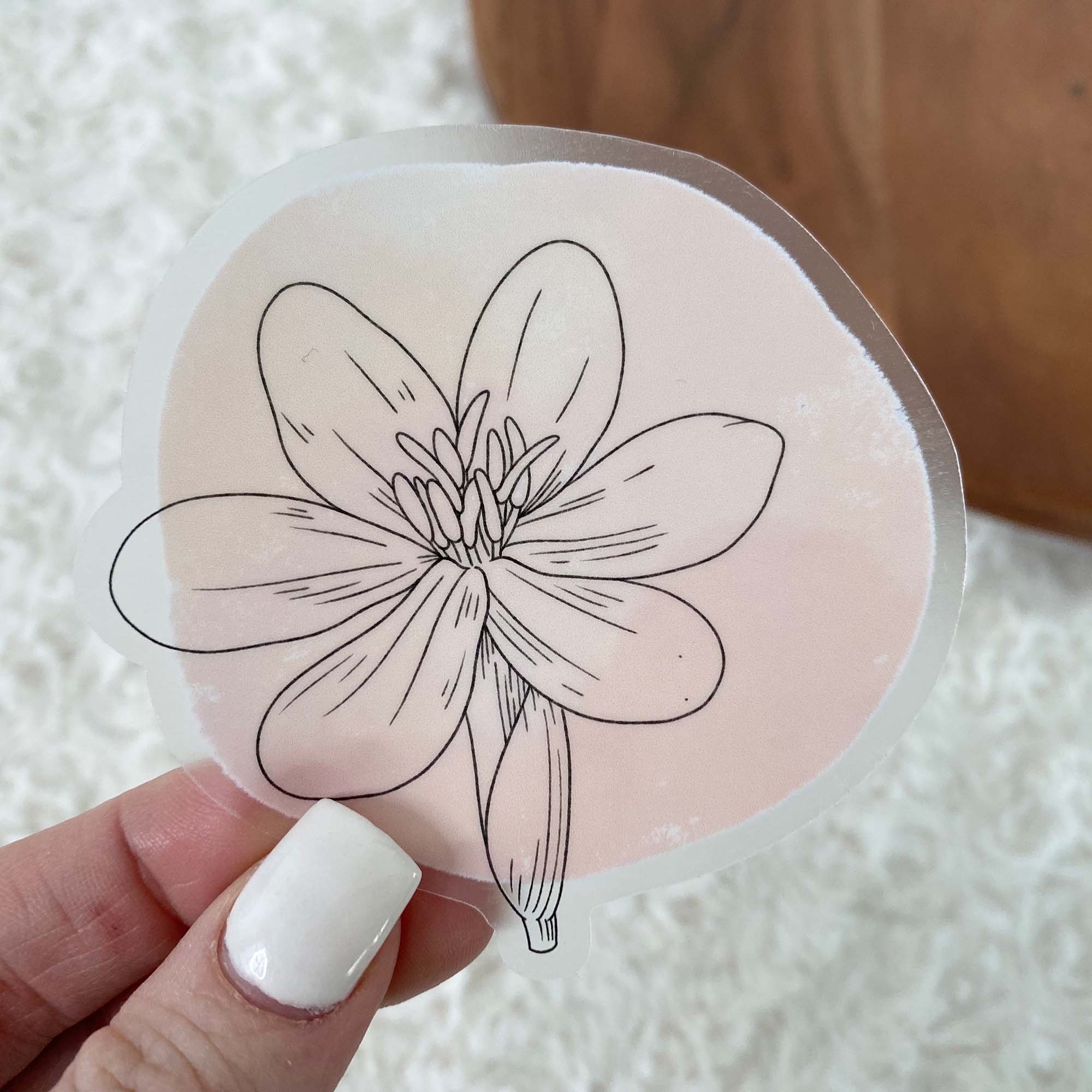  Eleutherine Bulbosa Abstract - Clear Sticker、mySite、ghnorth