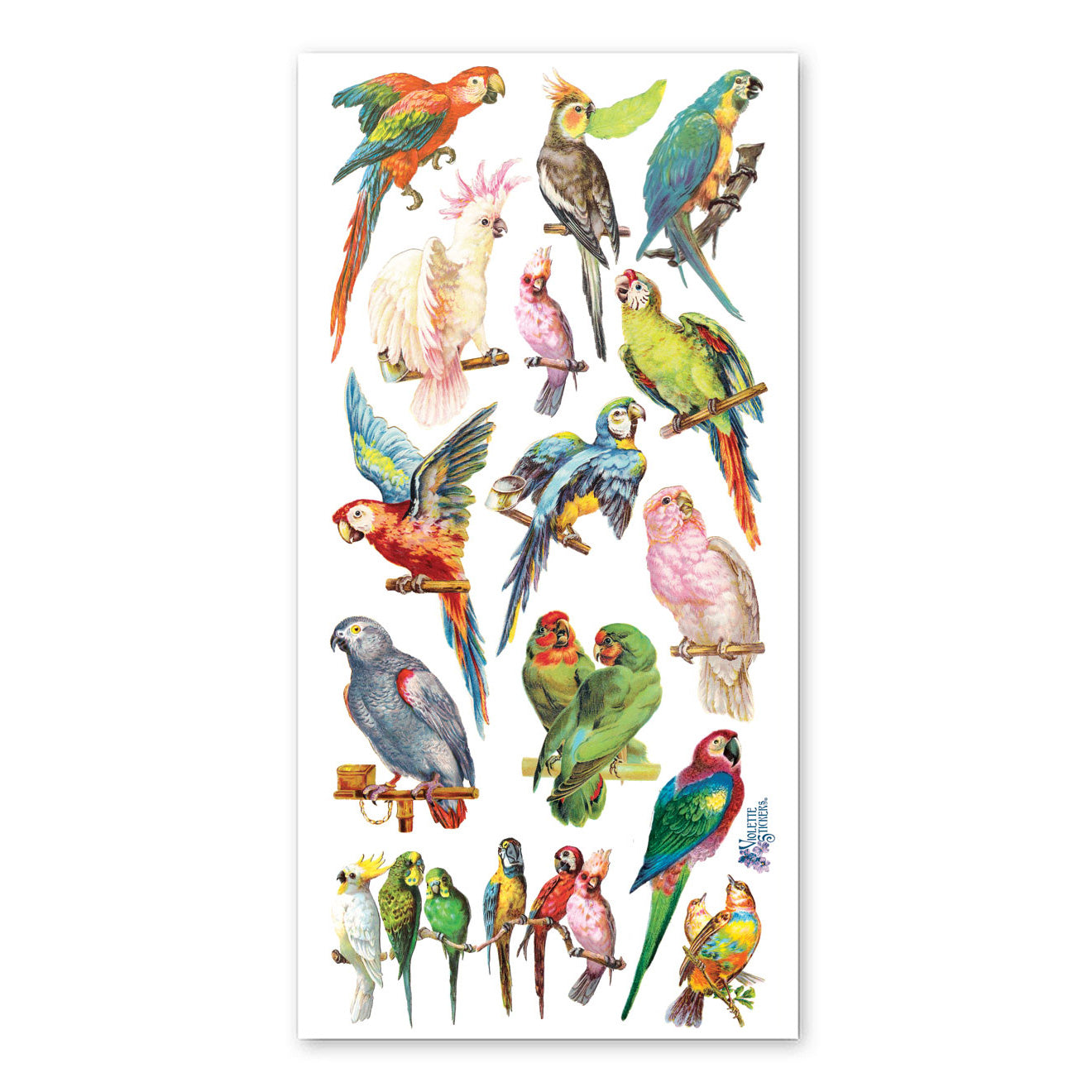 Parrots Stickers、mySite、ghnorth