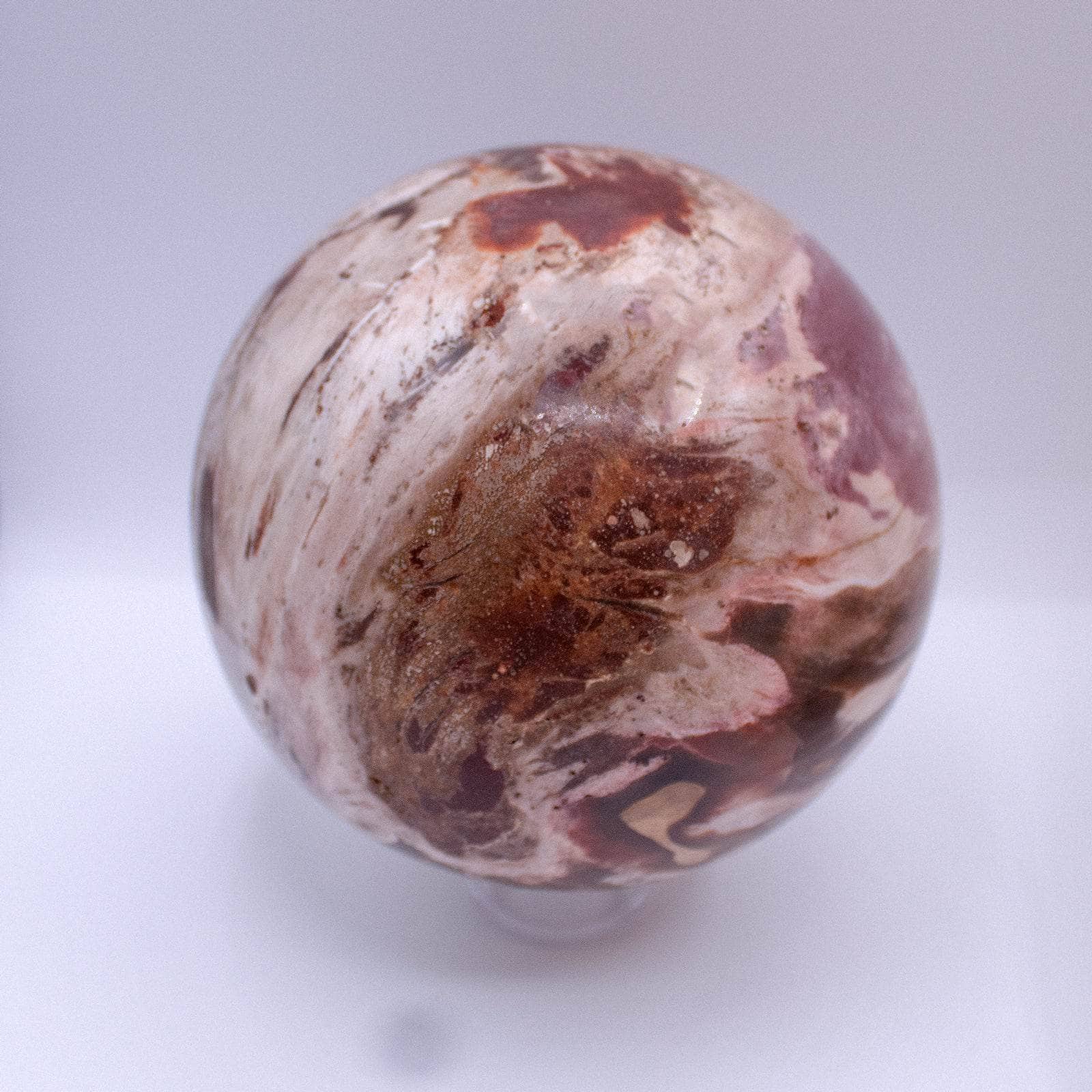 Petrified Wood Sphere - AAA Premium Quality、mySite、hinf8tx79