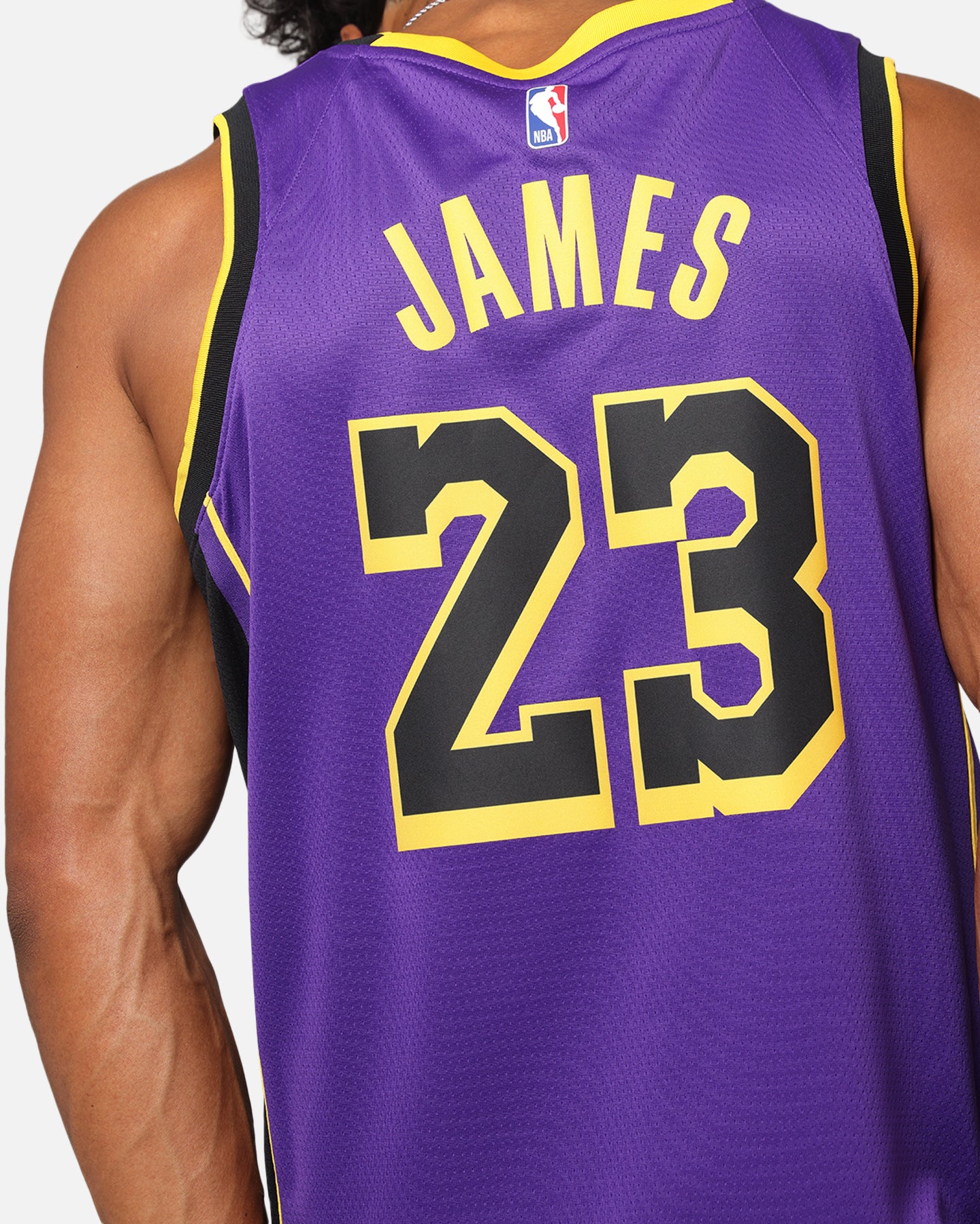 Nike Los Angeles Lakers Lebron James Dri-FIT Swingman Jersey Field Purple、mySite、zt4zffjzw
