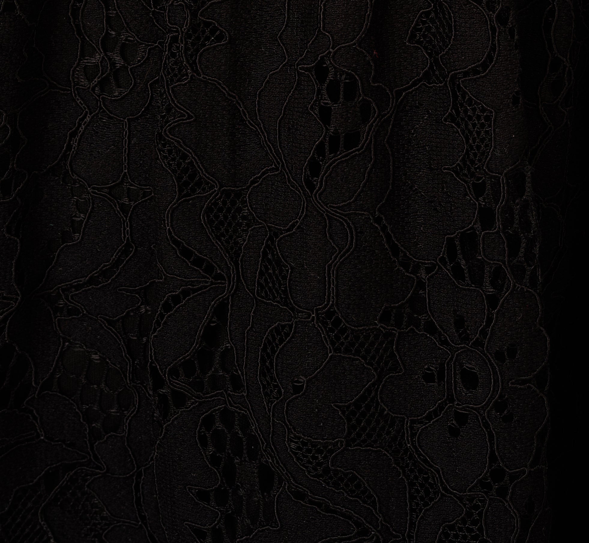 Sleeveless Collared Lace Fit And Flare Dress In Black、mySite、solidvoid