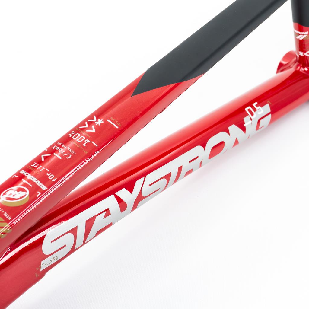  Stay Strong For Life V5 Mini Frame 2025、mySite、merchandisen