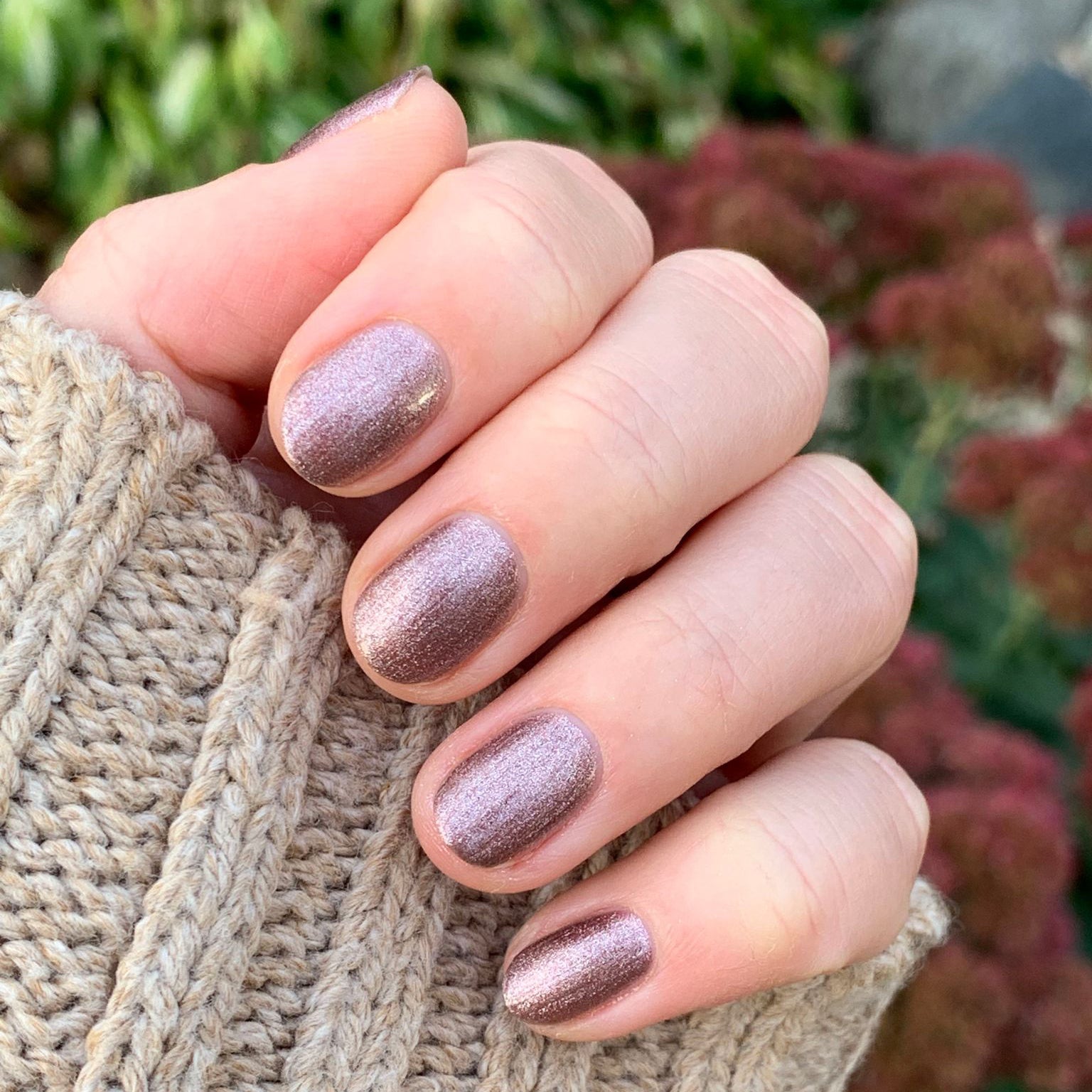 Sundance Shimmer、mySite、solidvoid