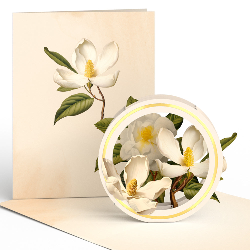 Beautiful Botanicals Box Set (Assorted 12-Pack): Paperpop® Card、mySite、solidvoid