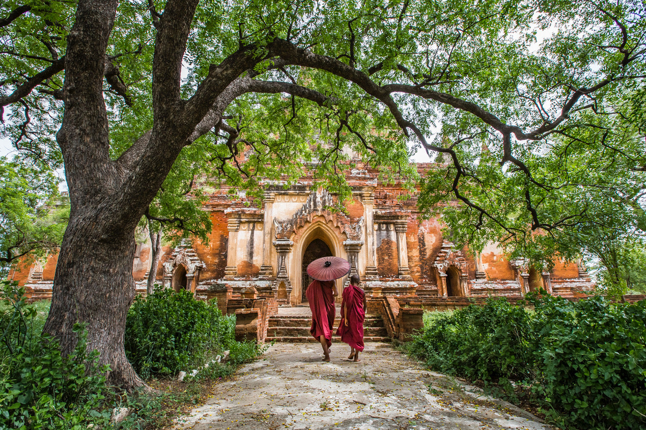 The Path Art Print、mySite、topwebapps