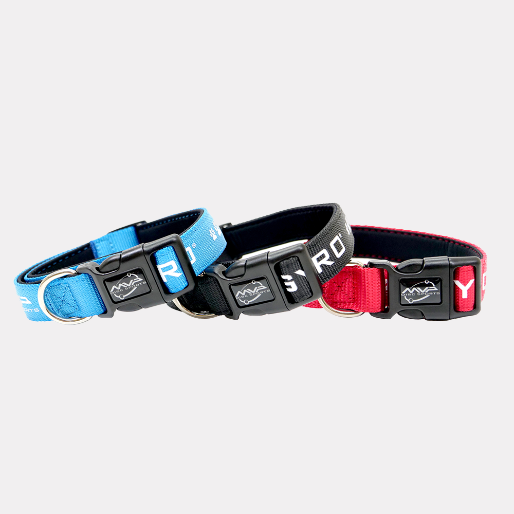 Dog Collars - MVP Bar Logo、mySite、gtrtttuynbv