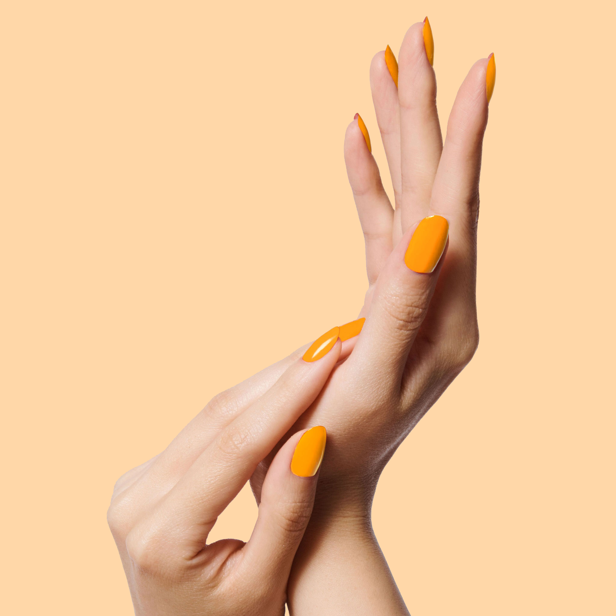 Sweet & Gracious、mySite、solidvoid