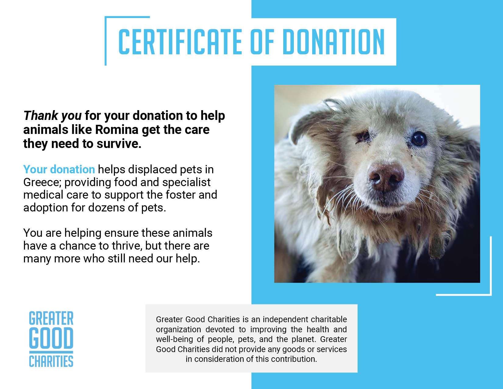 Funded: Malnourished Dog Missing Eye Found Near Death on Side of Road Needs Your Help、mySite、camillekostekn