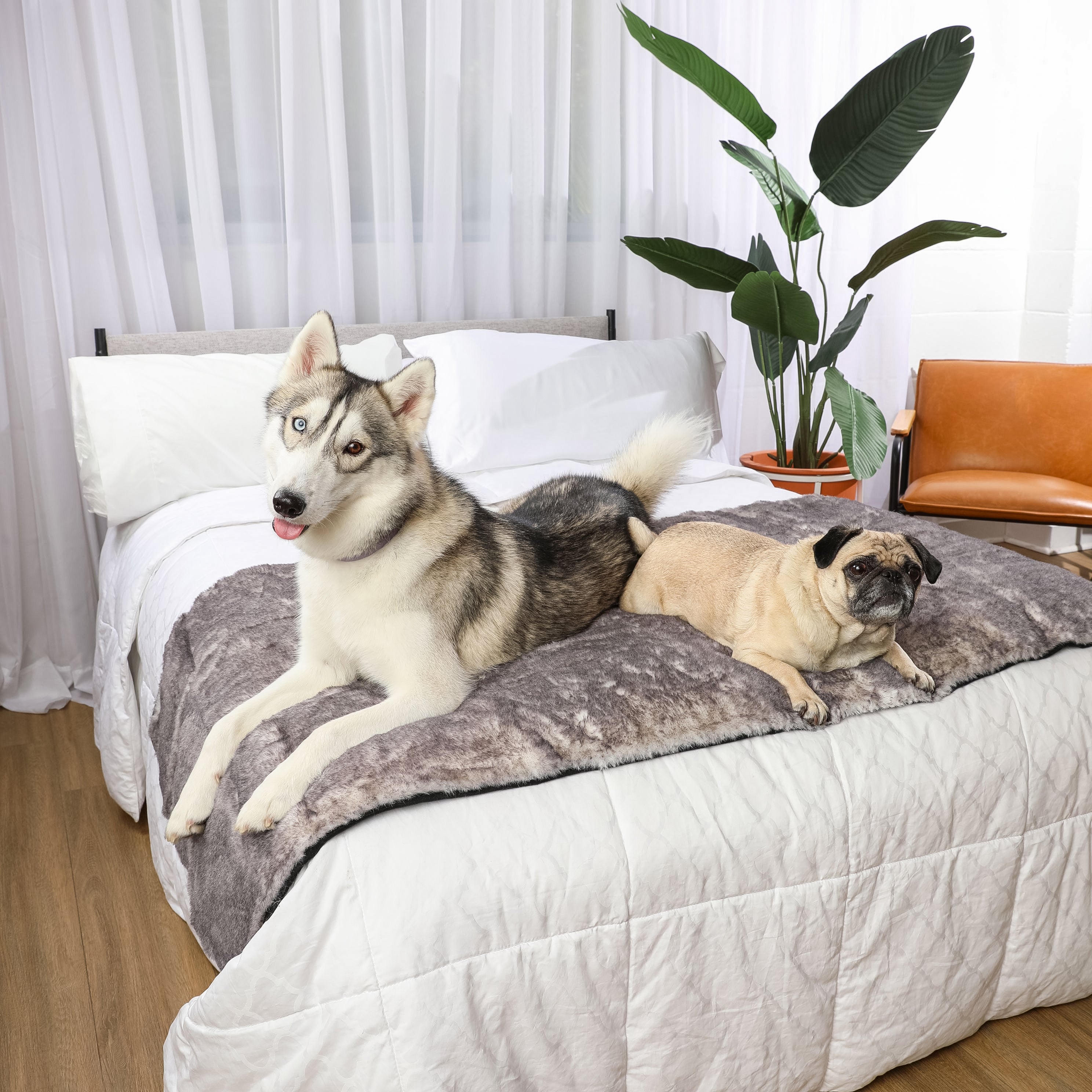 PupProtector™ Luxe Waterproof Bed Runner - Ultra Soft Chinchilla、mySite、solidvoid