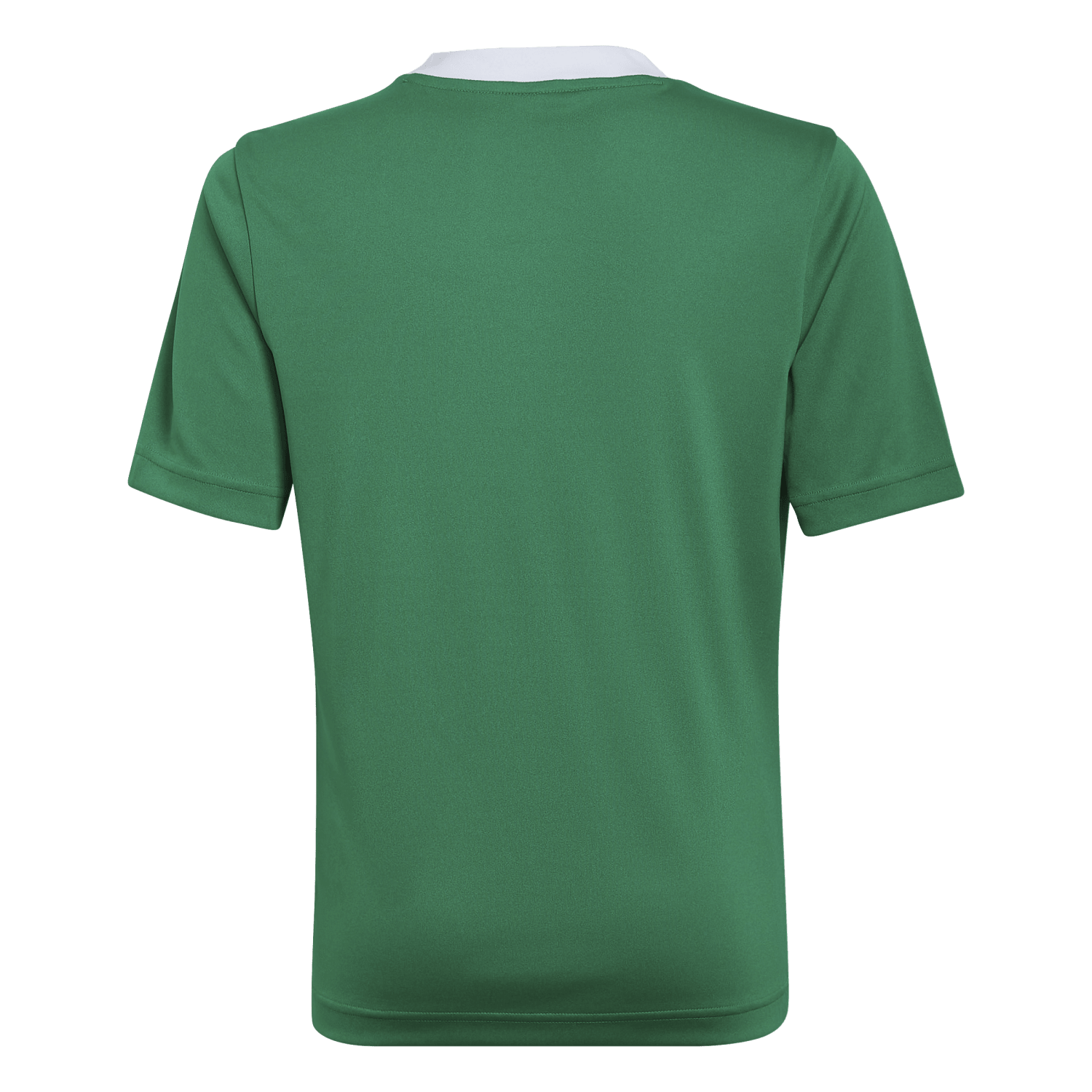 adidas Youth Entrada 22 Jersey - Green、mySite、noshort