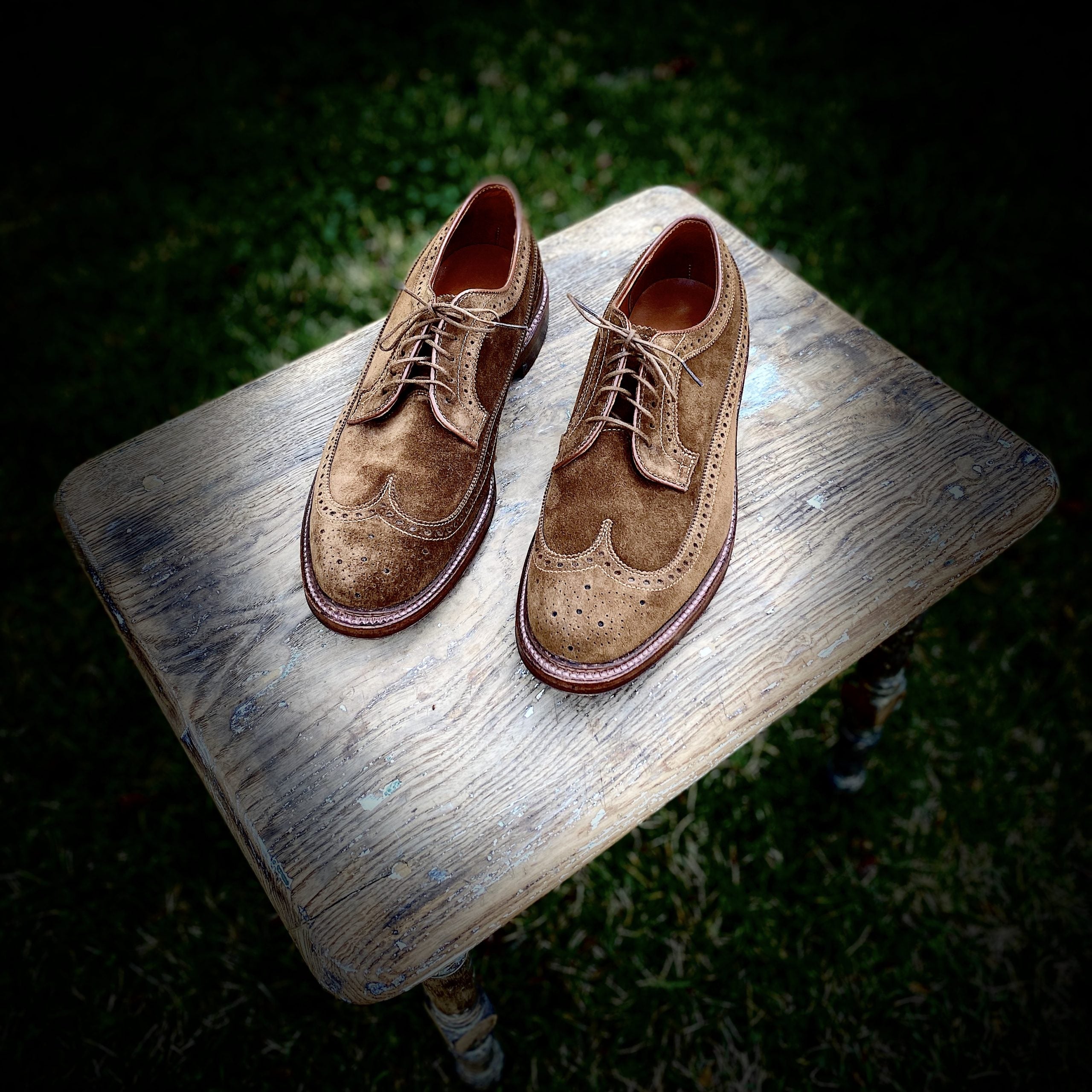  9794 - Long Wing Blucher in Snuff Suede、mySite、preschool7hills