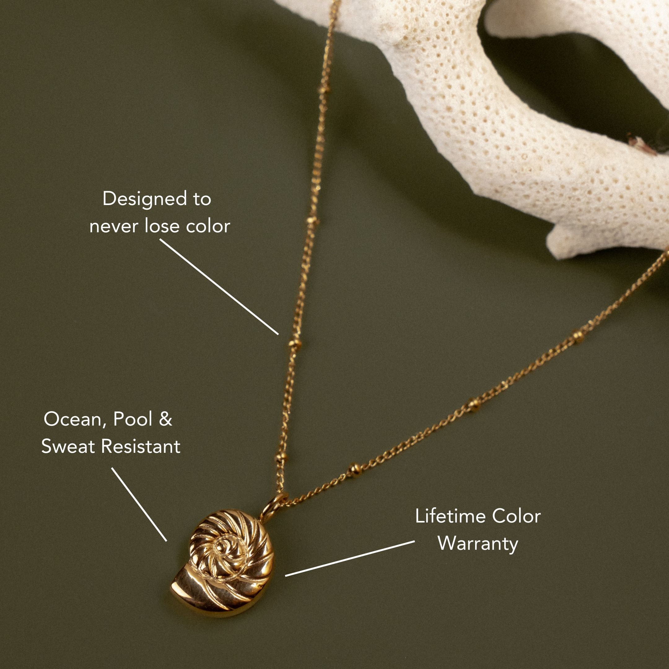 Nautilus Necklace、mySite、hinf8tx79