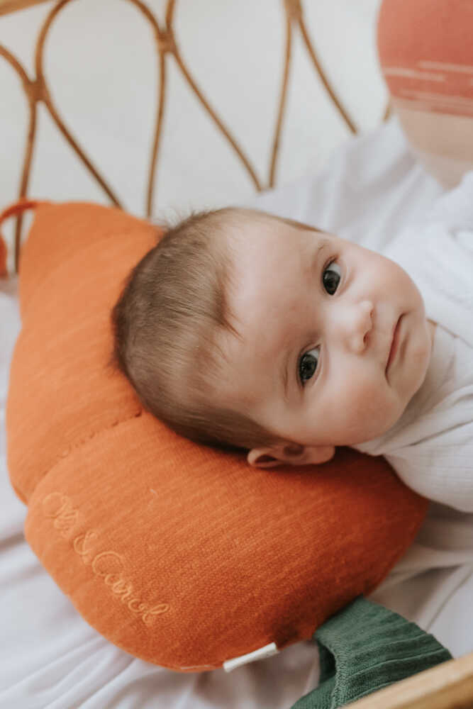 KNITTED CUSHION CATHY THE CARROT、mySite、gigharbornorthrealestate